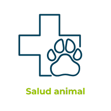 salud animal