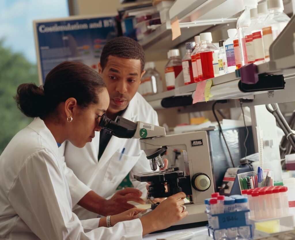 Two scientist working on cancer reaserach protocols.